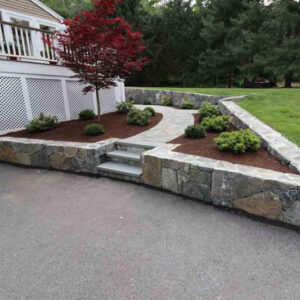 steps and walkway with landscaping